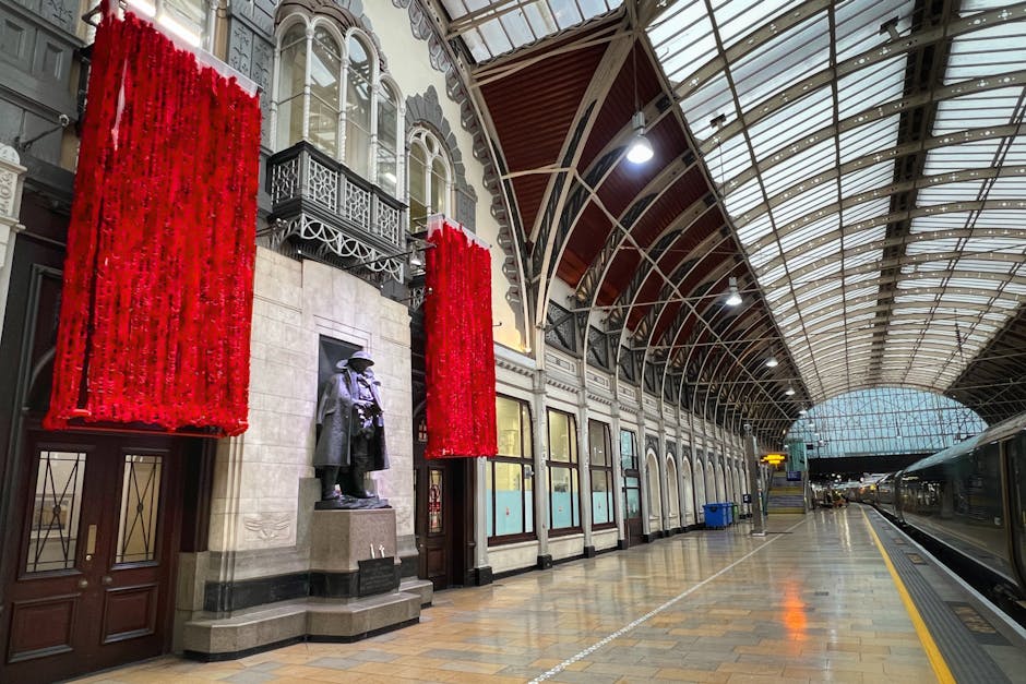 Paddington Station to Bayswater removals logistics